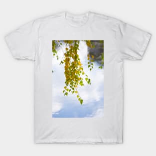 Birch Branch In Autumn Garden T-Shirt